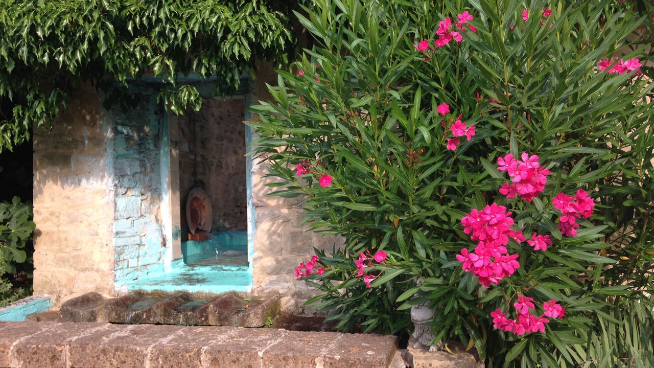Photo of Outdoor in Cupramontana