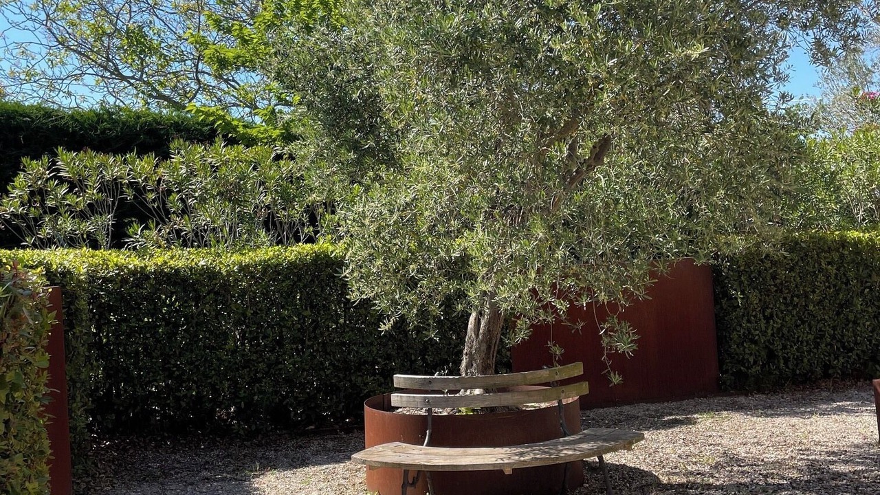 Photo of Outdoor in Cupramontana