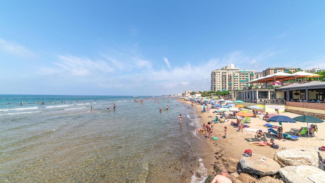 Photo of Others in Follonica