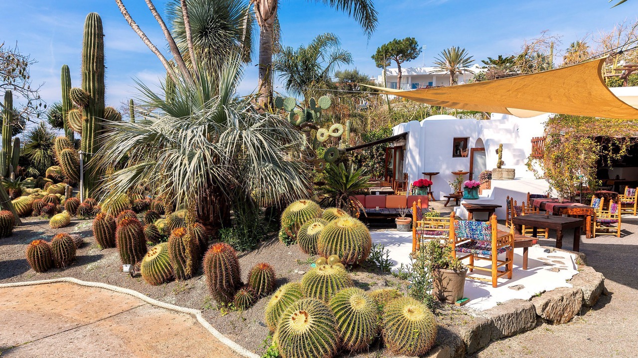 Photo of Patio Balcony in Forio