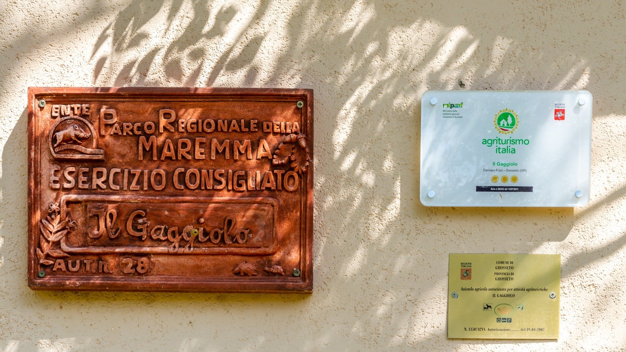Photo of Others in Grosseto