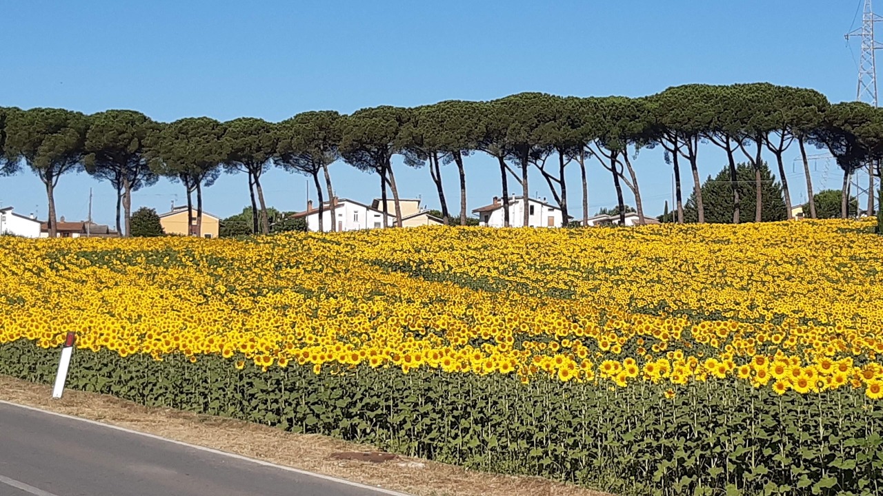 Photo of Outdoor in Colle San Paolo
