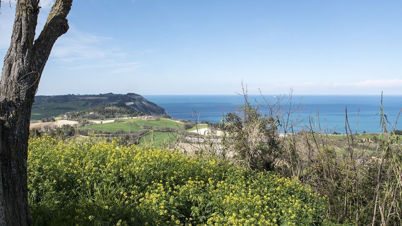 Photo of Others in Poggio