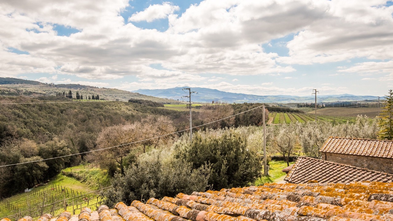 Photo of Others in Montalcino