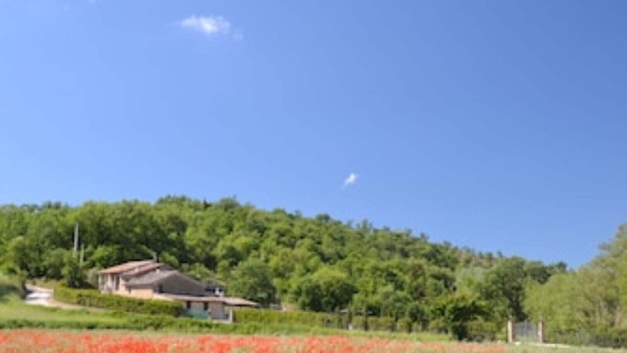 Photo of Others in Castiglione della Valle