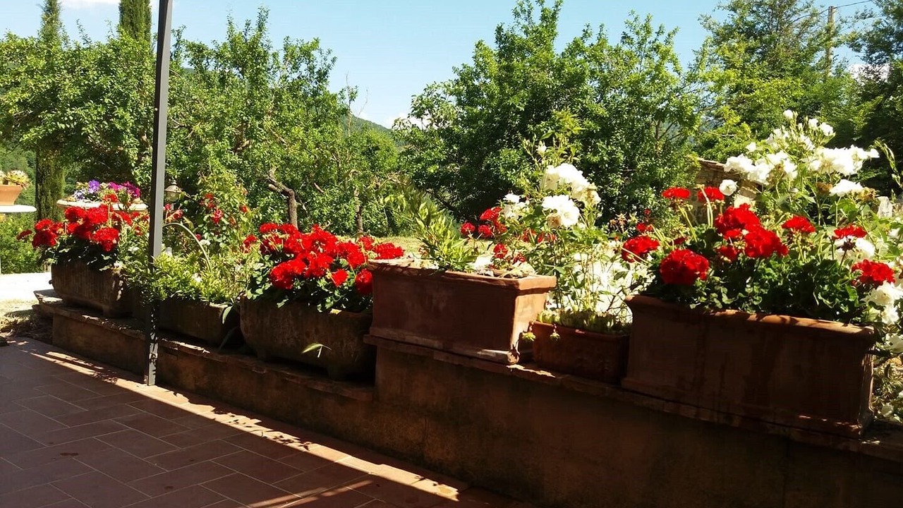 Photo of Outdoor in Castelnuovo di Val di Cecina