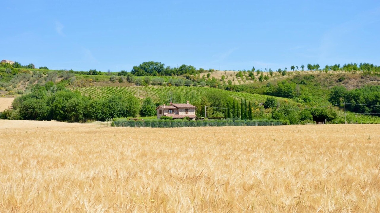Photo of Others in Marsciano