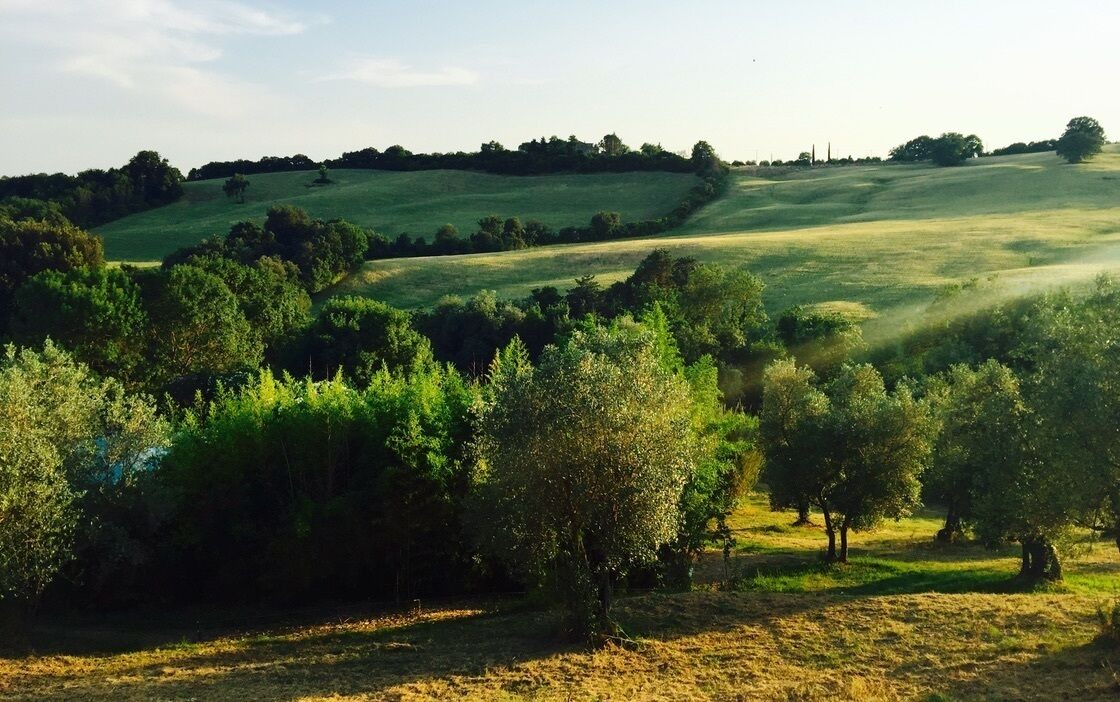 Photo of Outdoor in Campagnatico