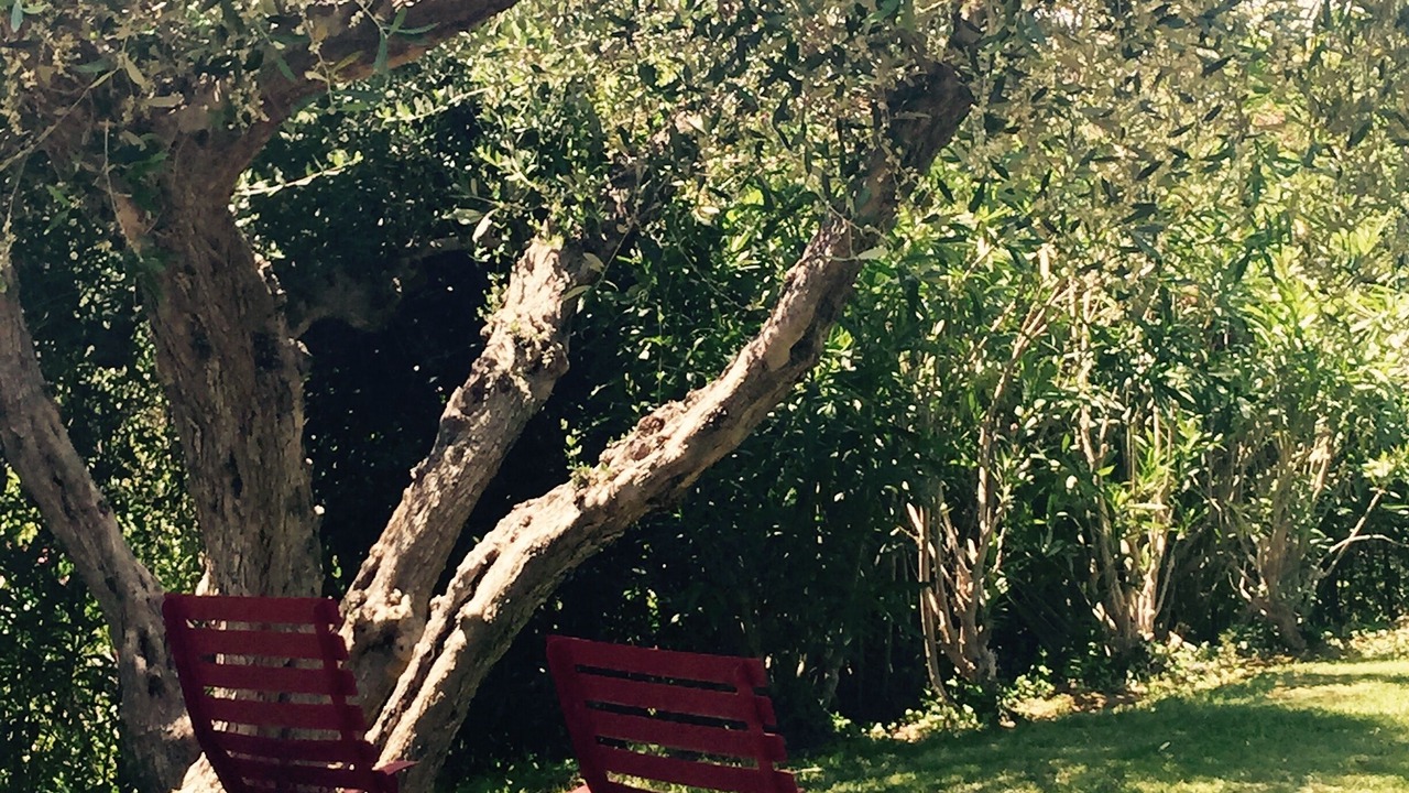 Photo of Outdoor in Campagnatico