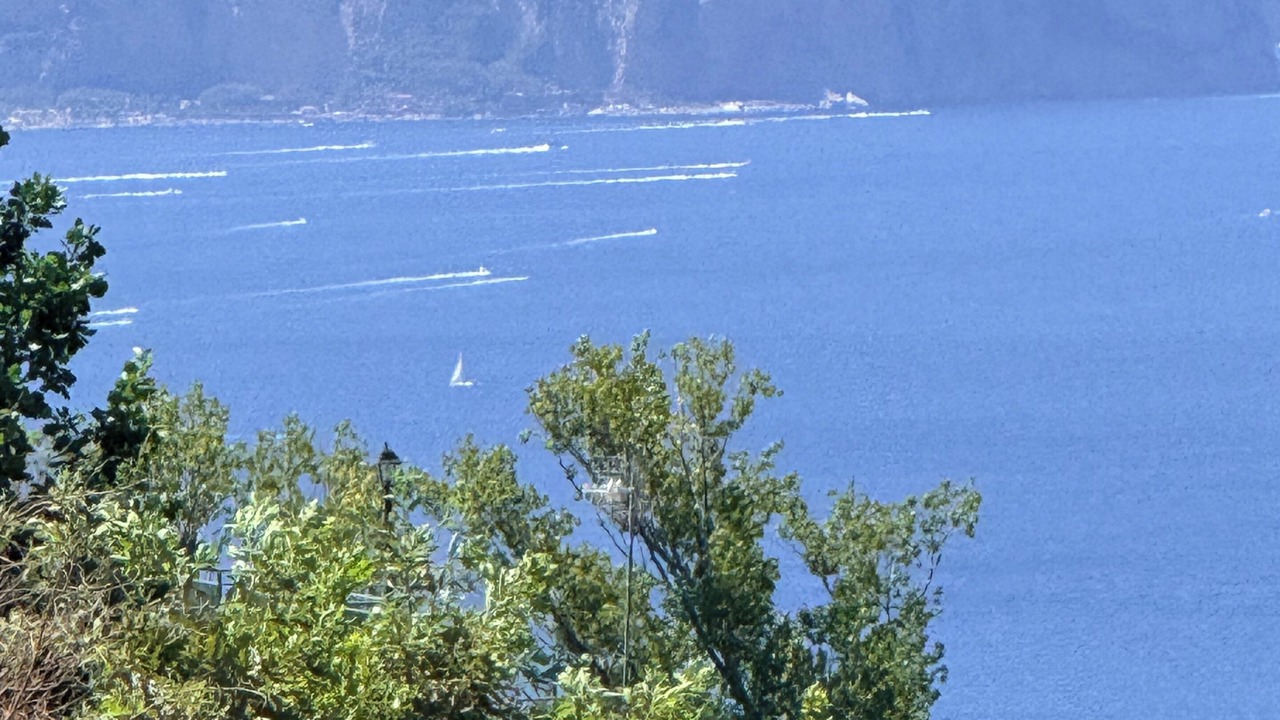 Photo of Others in Trecase