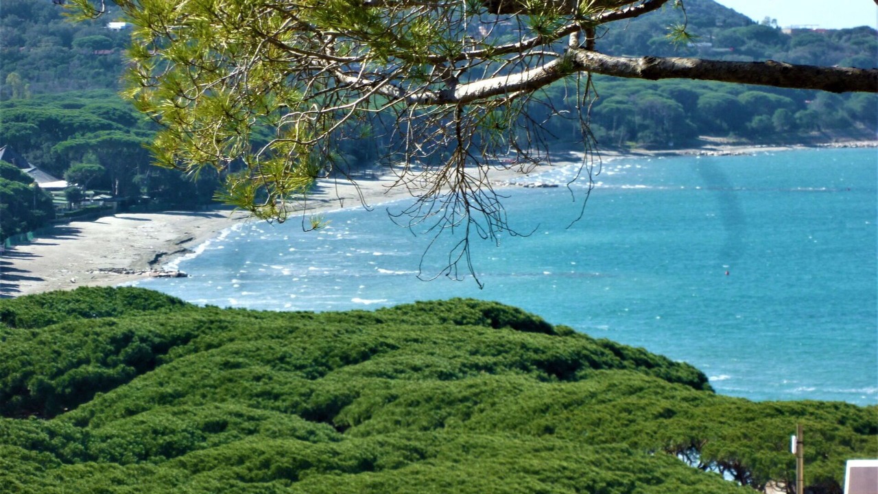 Photo of Outdoor in Punta Ala