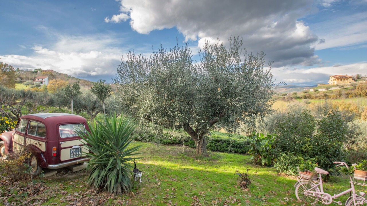 Photo of Others in Collecorvino