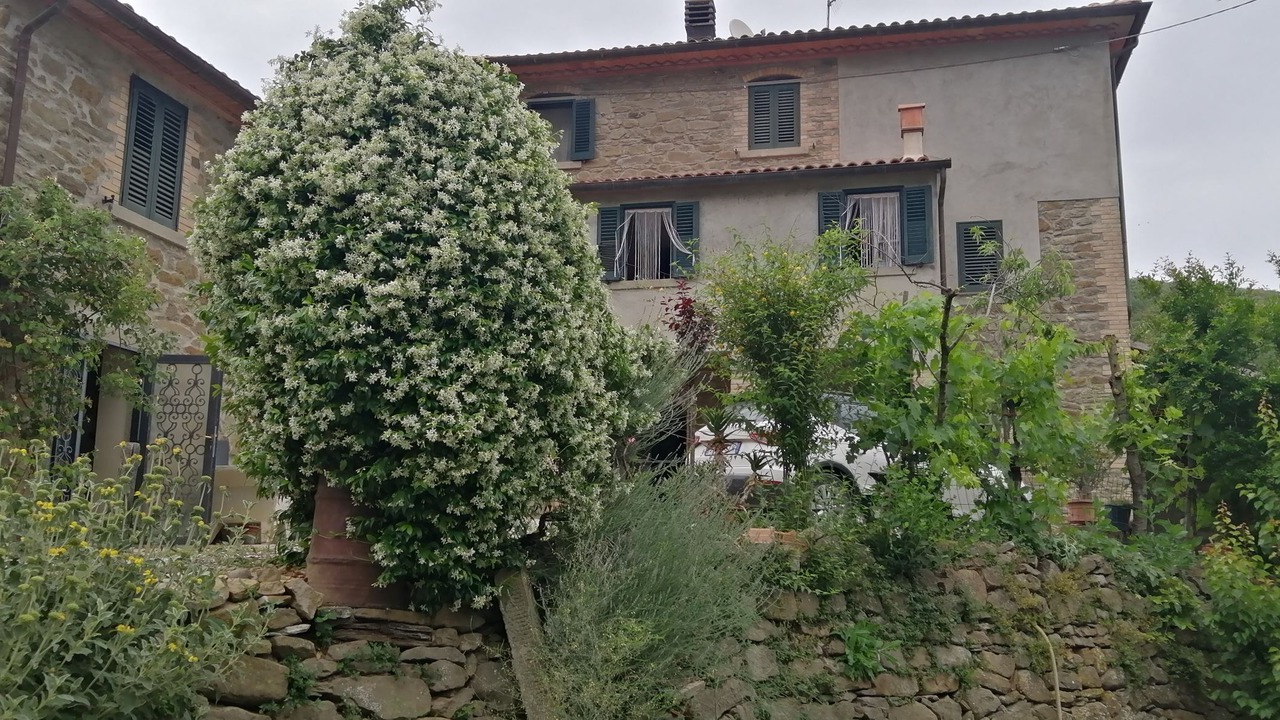 Photo of Outdoor in Pieve di Chio