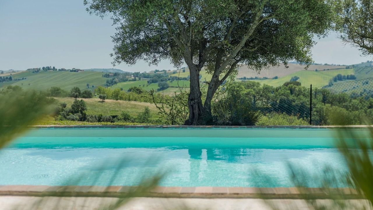 Photo of Outdoor in Mogliano