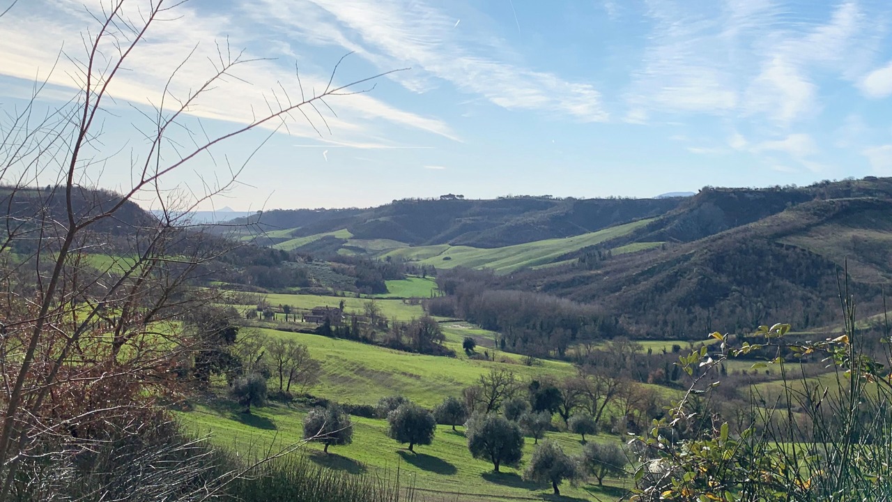 Photo of Others in Corbara