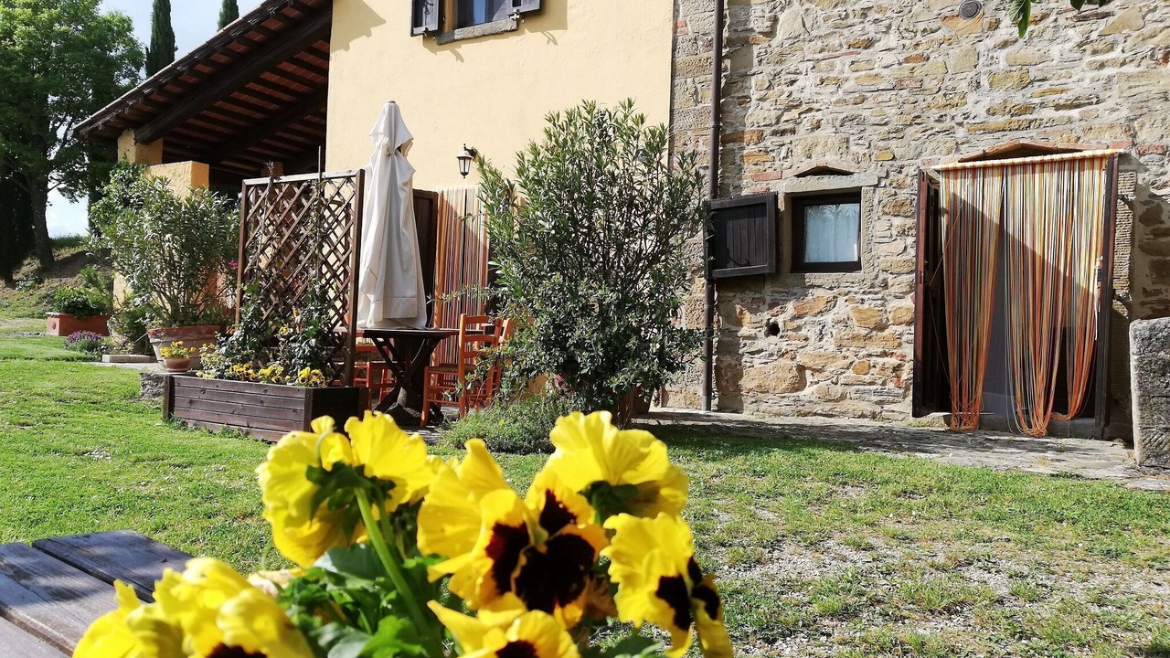 Photo of Others in Anghiari