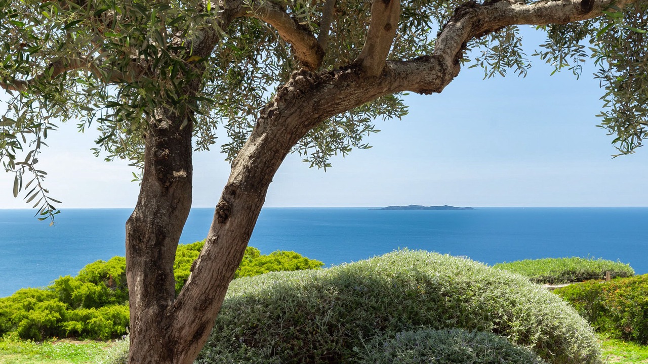 Photo of Outdoor in Monte Argentario