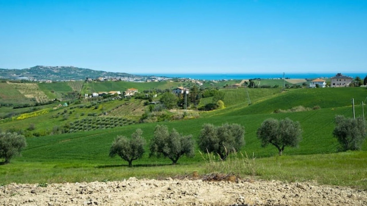 Photo of Outdoor in Pineto