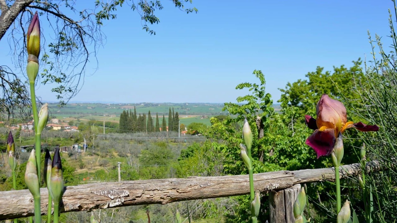 Photo of Others in Castiglione del Lago