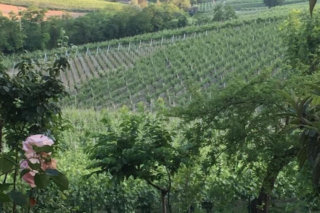 Photo of Outdoor in Santa Maria della Versa
