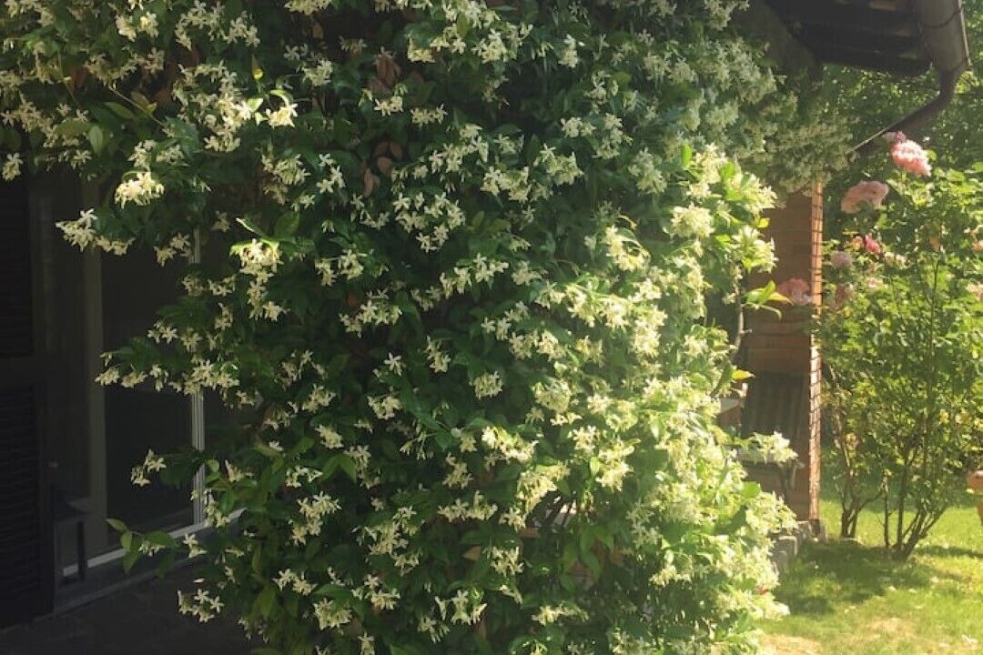 Photo of Outdoor in Santa Maria della Versa