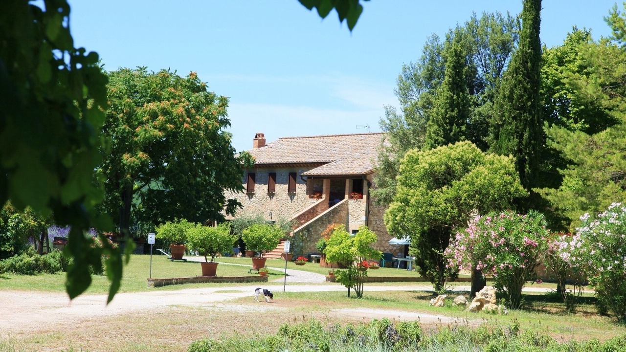 Photo of Outdoor in Amelia