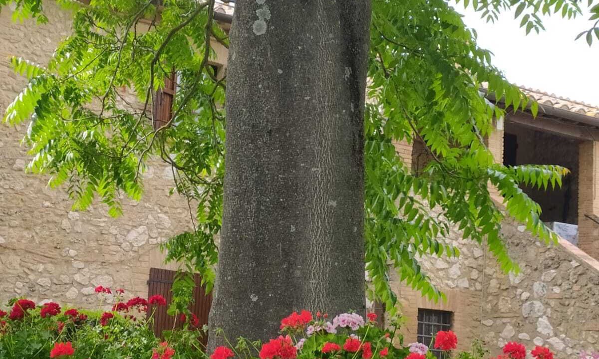 Photo of Outdoor in Amelia