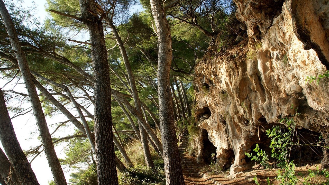 Photo of Outdoor in Maratea