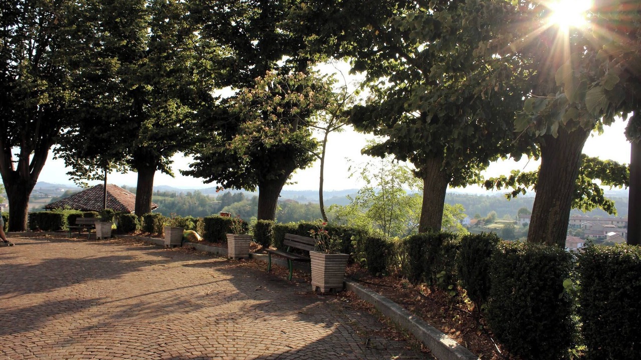 Photo of Others in Grazzano Badoglio
