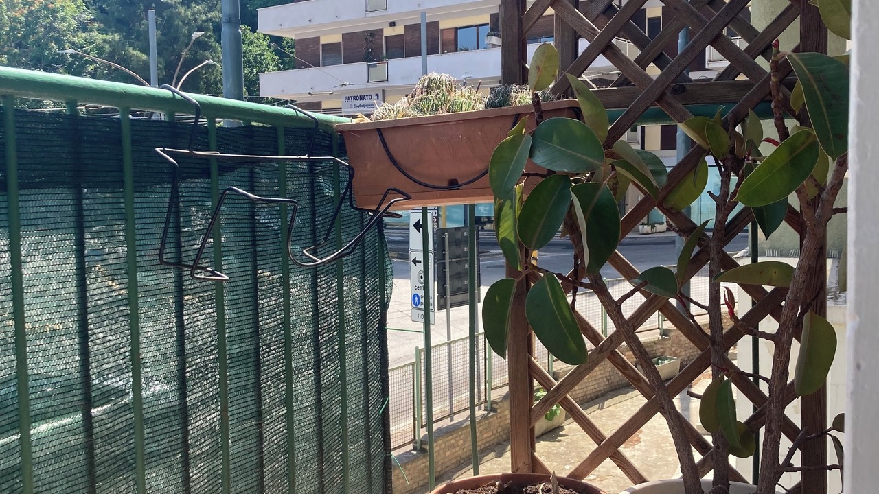 Photo of Outdoor in Chieti