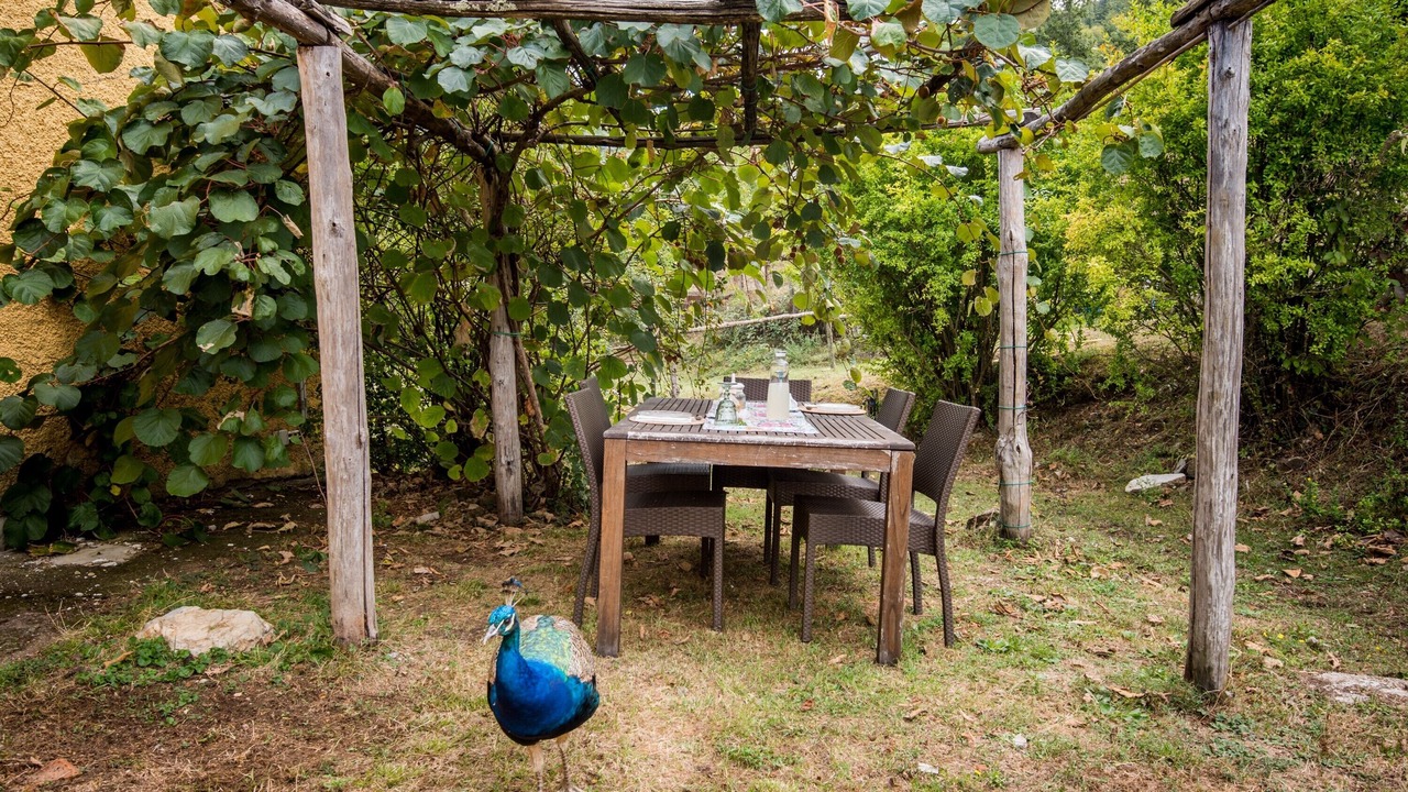 Photo of Outdoor in Montieri