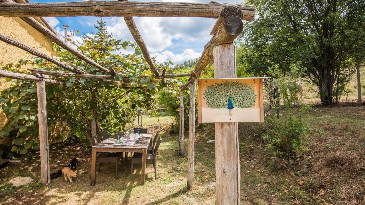 Photo of Outdoor in Montieri