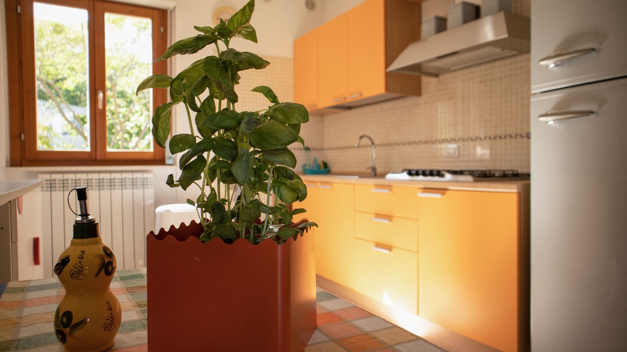 Photo of Kitchen in Lido Riccio