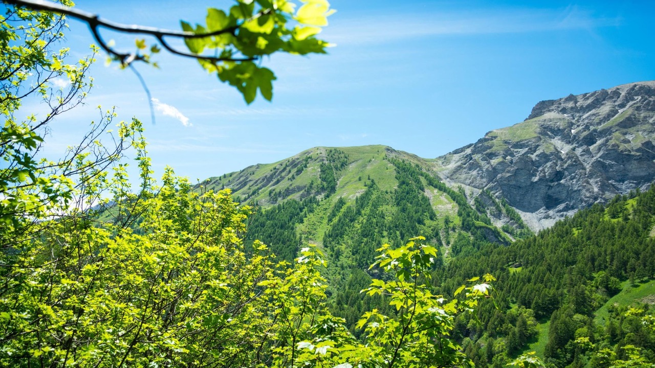 Photo of Others in Bardonecchia