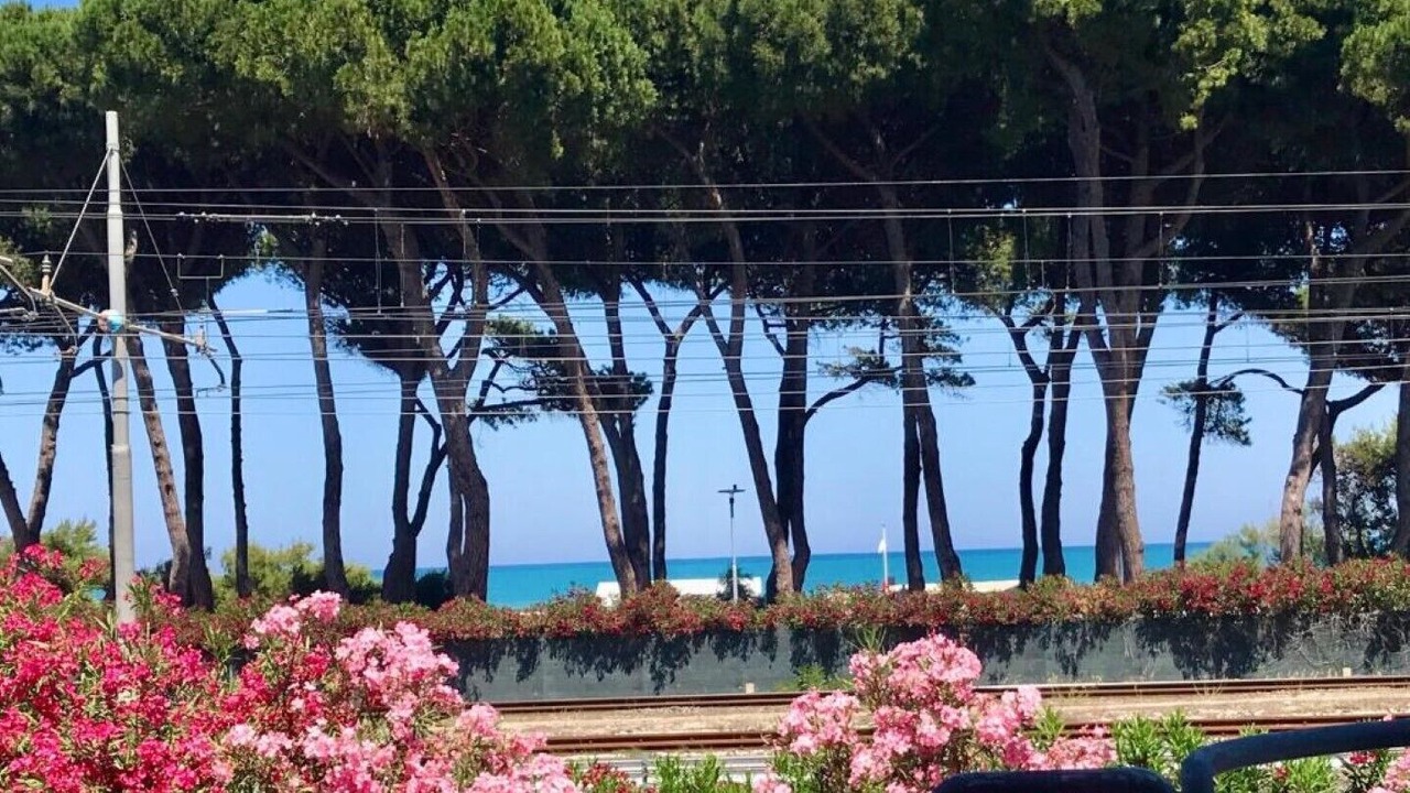 Photo of Outdoor in Pineto