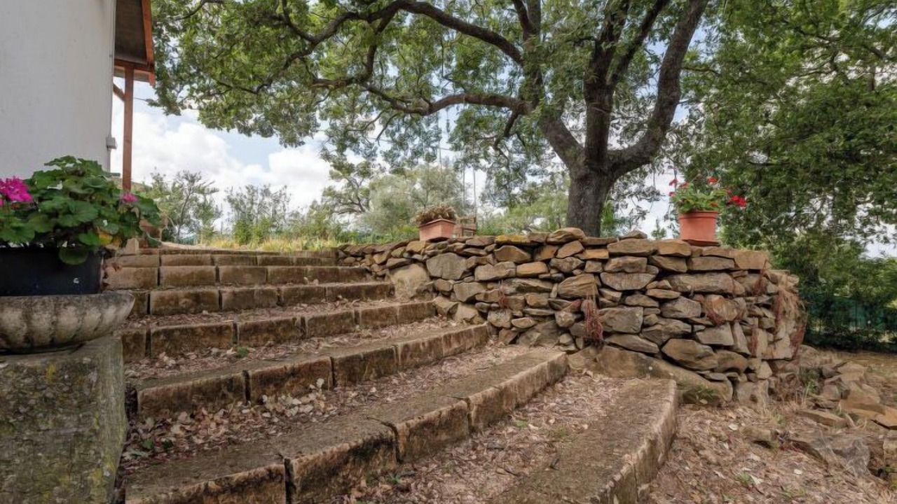 Photo of Outdoor in Scansano