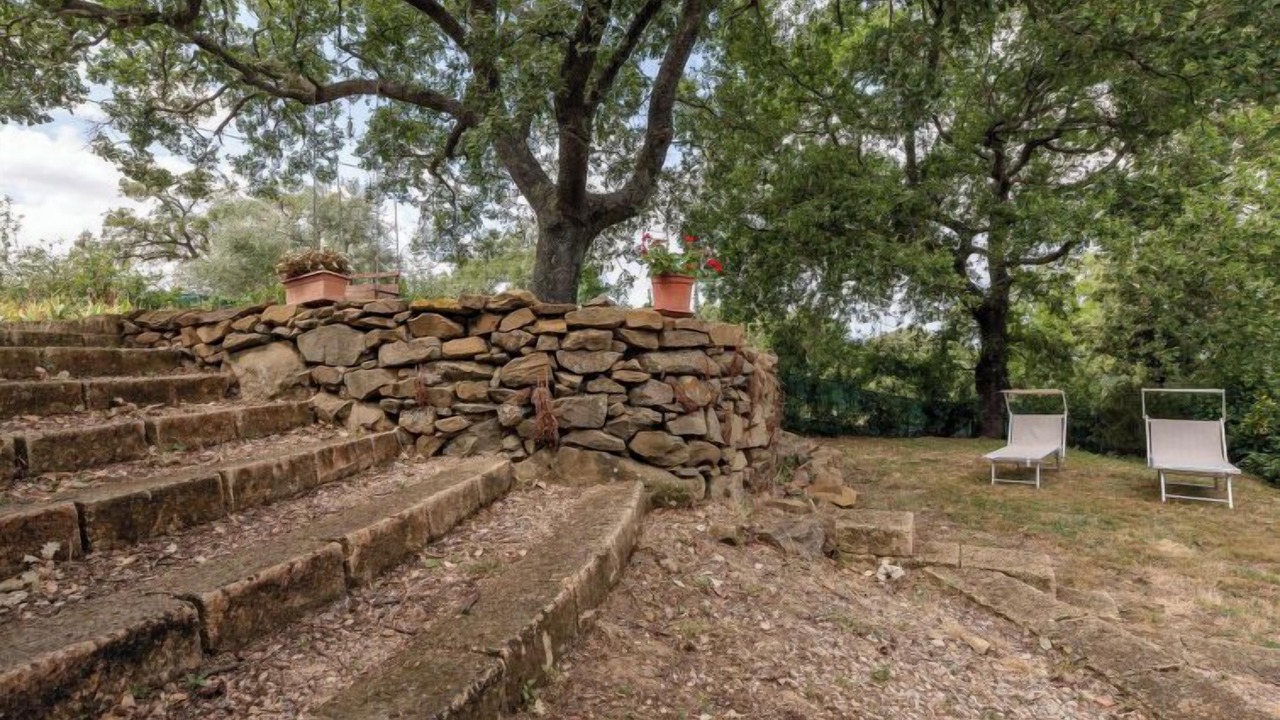 Photo of Outdoor in Scansano