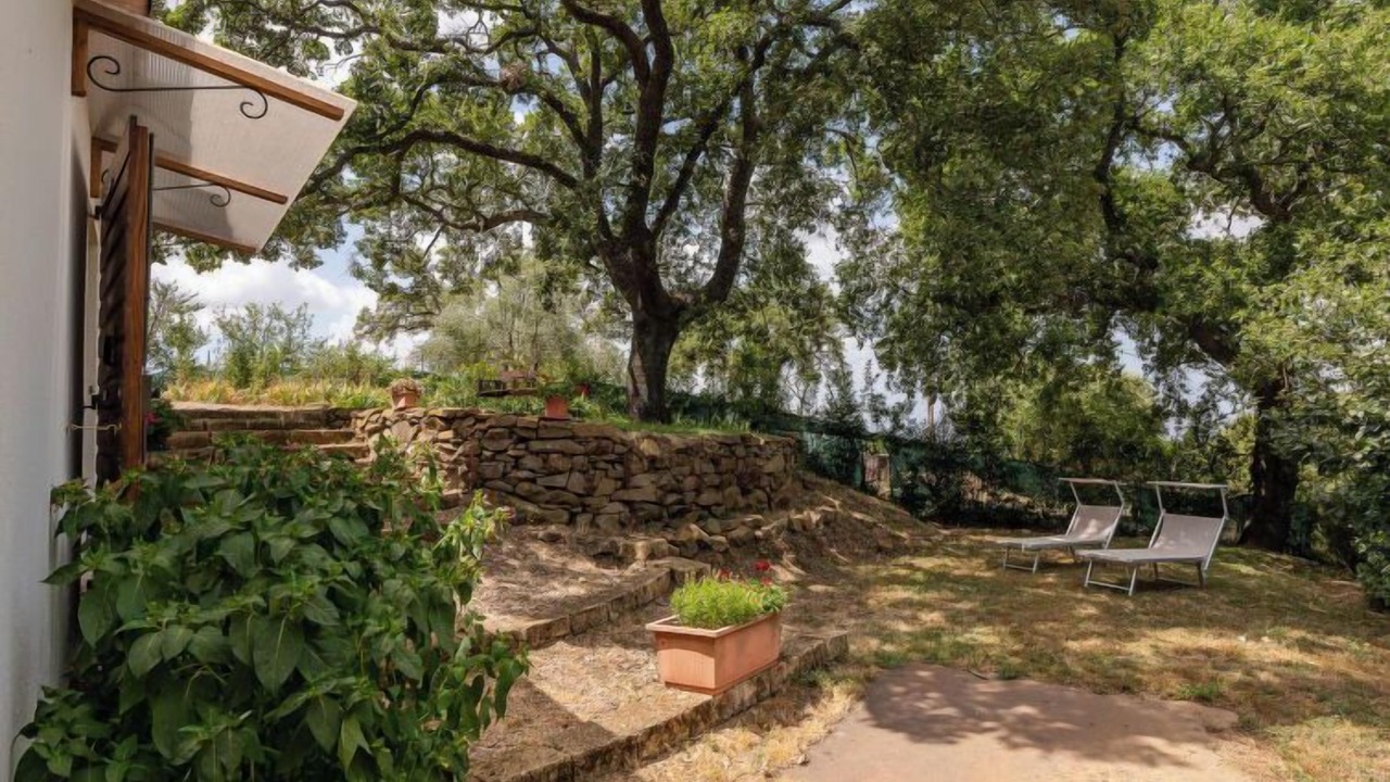 Photo of Outdoor in Scansano