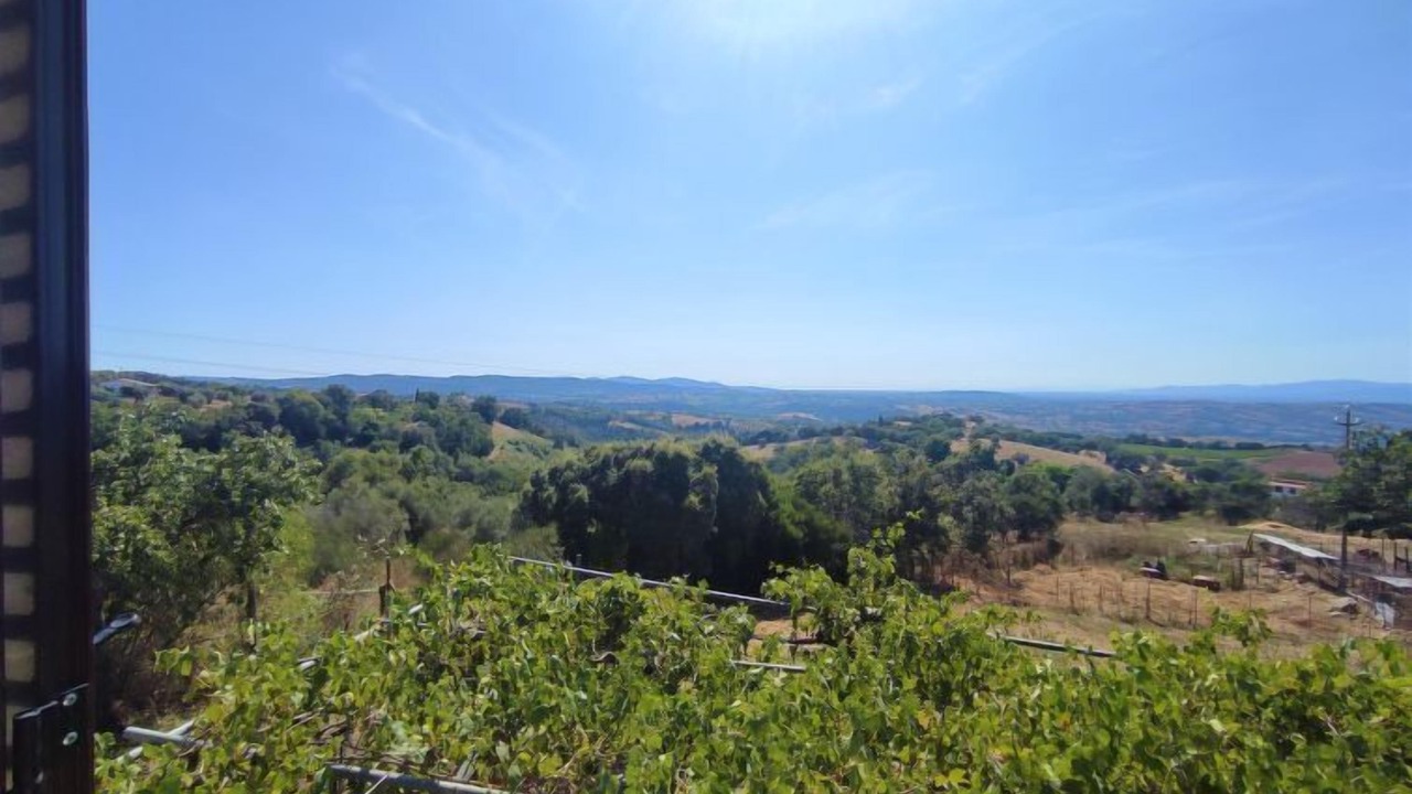 Photo of Others in Scansano