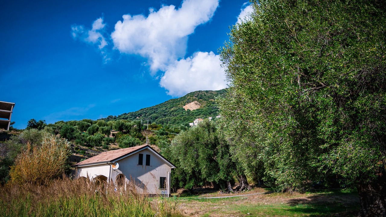 Photo of Outdoor in Marina di Pisciotta