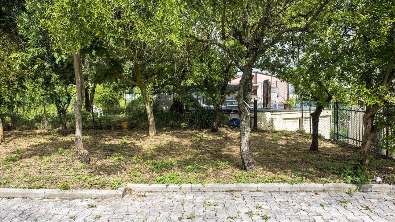 Photo of Outdoor in Poggio