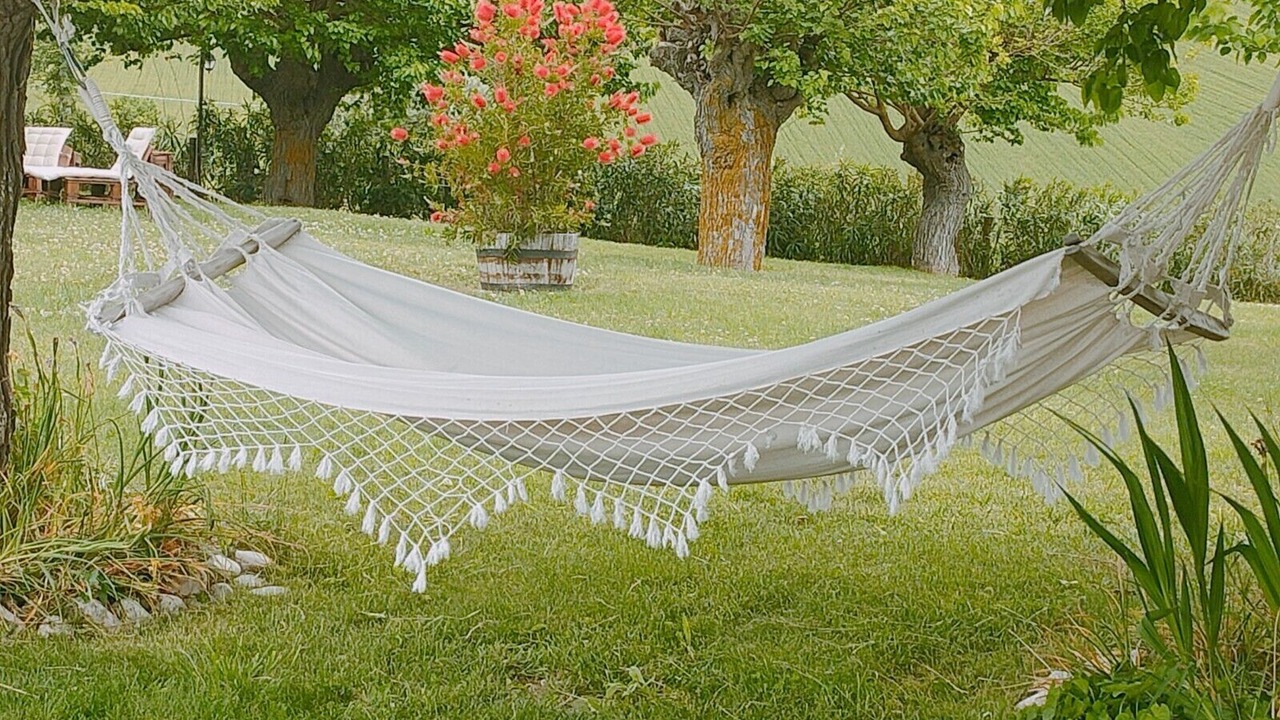 Photo of Outdoor in Osimo
