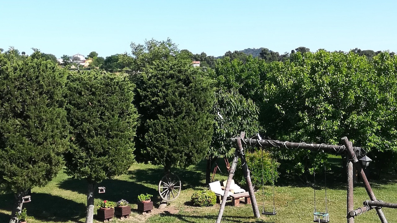 Photo of Others in Osimo