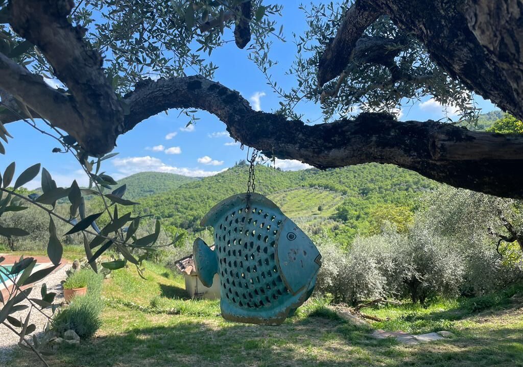 Photo of Outdoor in Collebaldo