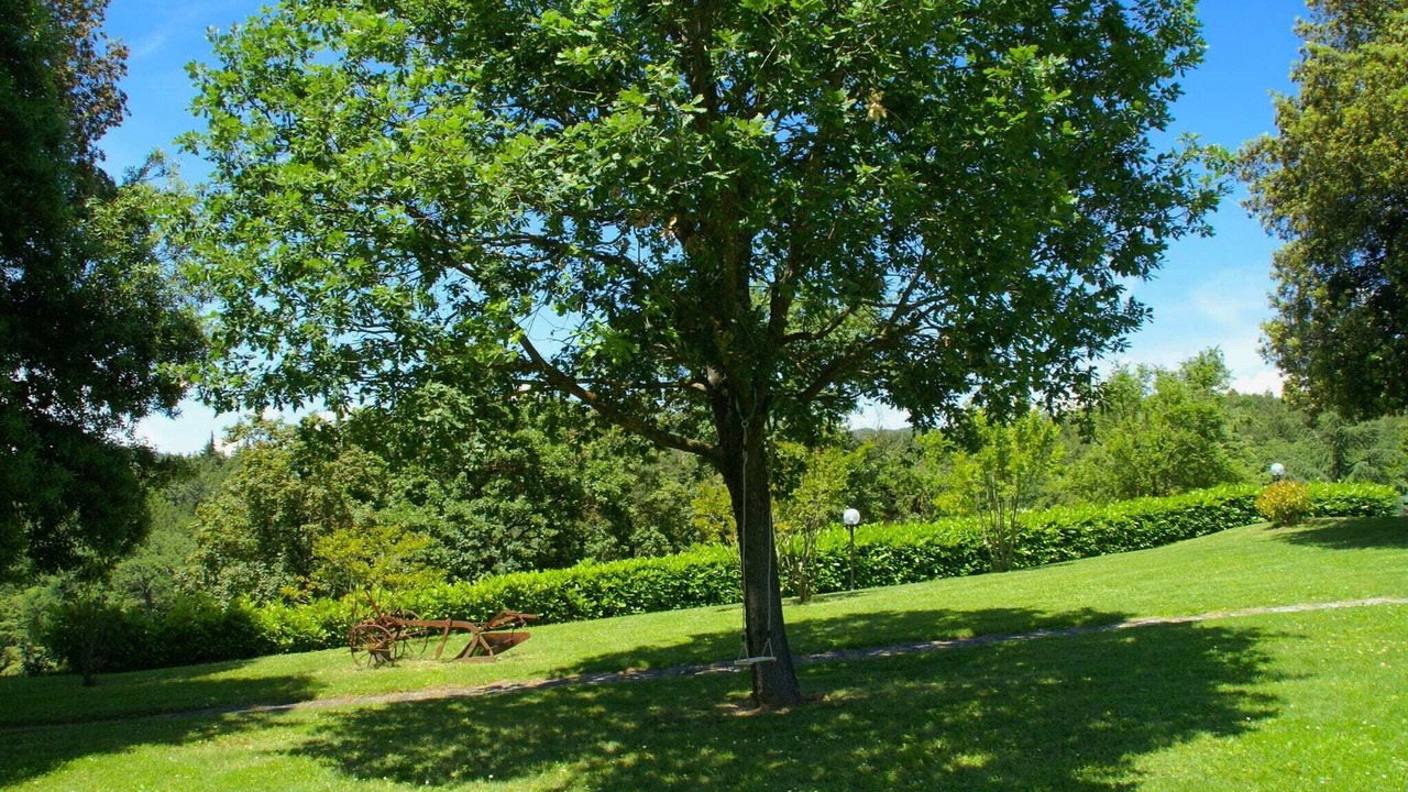 Photo of Outdoor in Fraccano