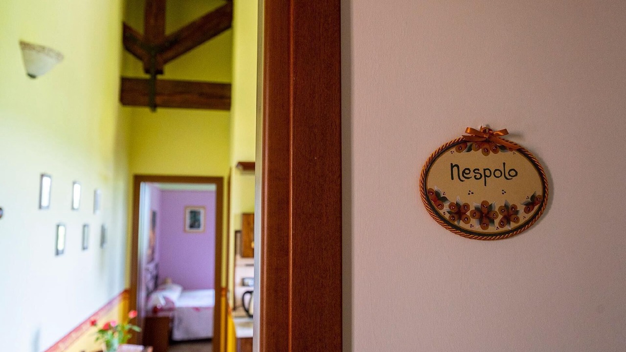 Photo of Others in Cessapalombo