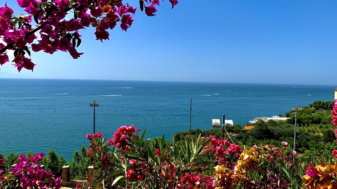 Photo of Others in Vietri sul Mare