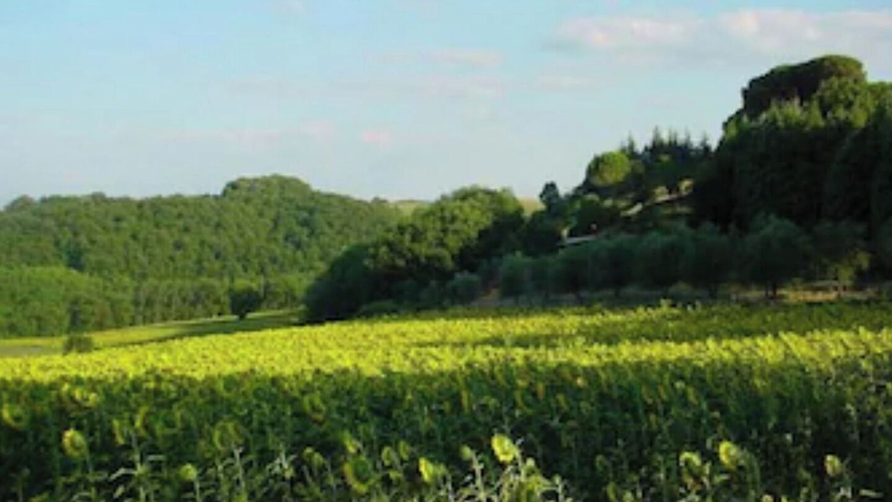 Photo of Outdoor in Ramazzano