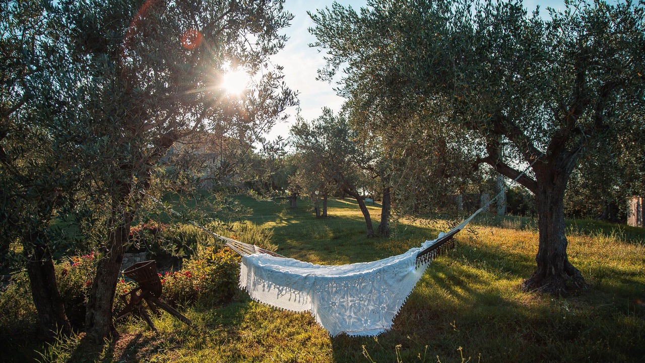 Photo of Outdoor in Collazzone
