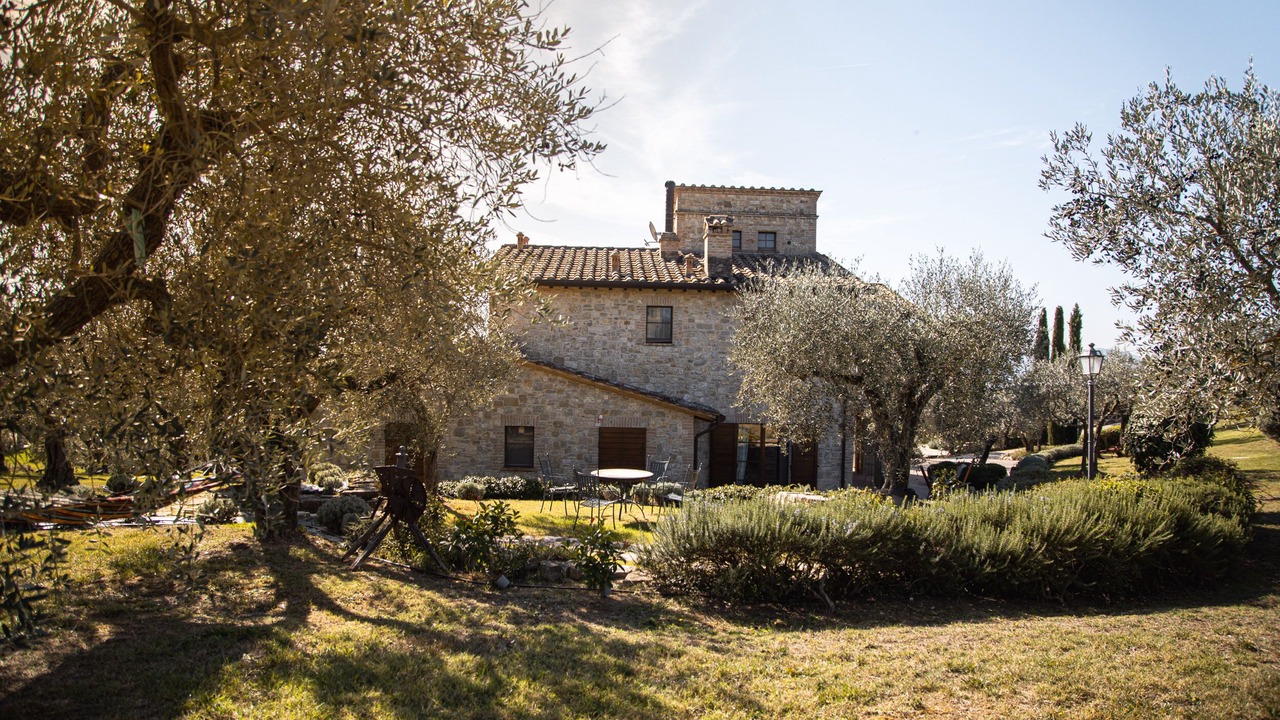 Photo of Outdoor in Collazzone